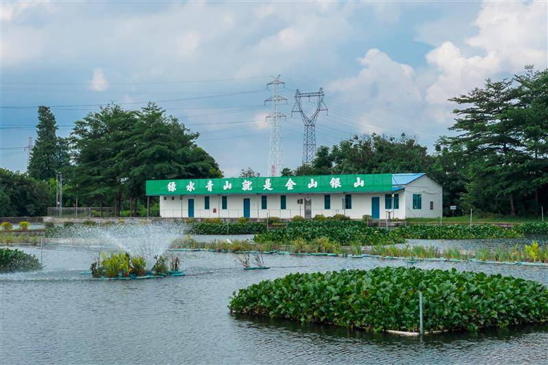 空氣能熱泵在水產(chǎn)養(yǎng)殖中對(duì)扇貝的影響_什么牌子的空氣能好