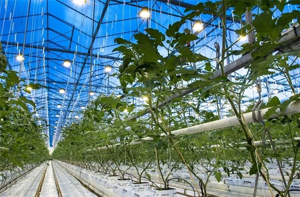 溫室大棚安裝恒溫采暖設備的作用_空氣能取暖器費電嗎 一天多少度