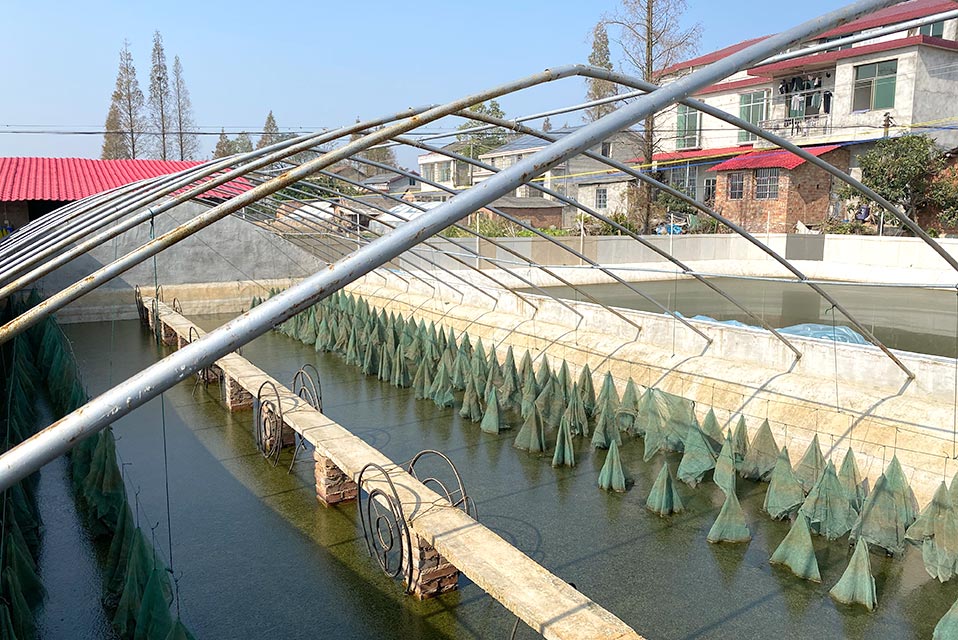 水產(chǎn)養(yǎng)殖熱泵技術的發(fā)展與挑戰(zhàn)_空氣能安裝方法視頻