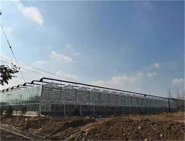 空氣源熱泵受農(nóng)業(yè)大棚歡迎的采暖設(shè)備_空氣能廠家聯(lián)系方式