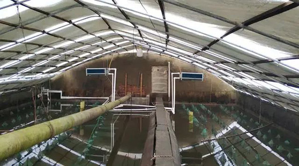 空氣能采暖是甲魚養(yǎng)殖水溫的最佳解決方案_空氣能加暖氣片安裝方法